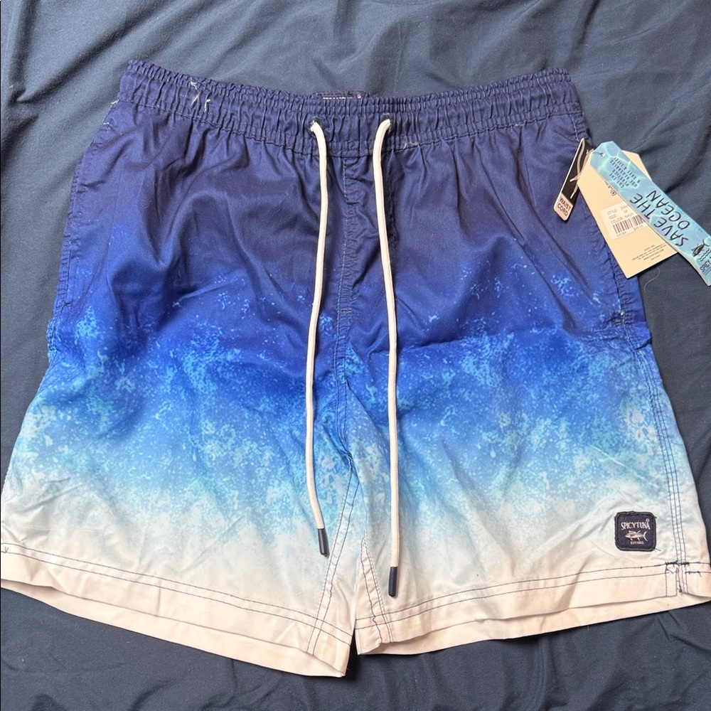 Men's Gradient Blue Swim Trunks